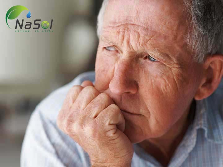 tác dụng của thông đỏ