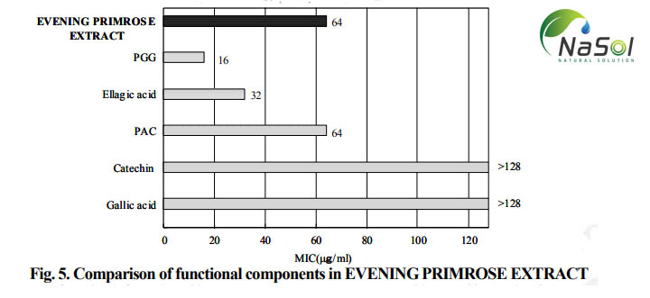 Bảng so sánh nồng độ ức chế vi khuẩn H.polyri của các hoạt chất pentagalloyl glucose có trong hoa anh thảo