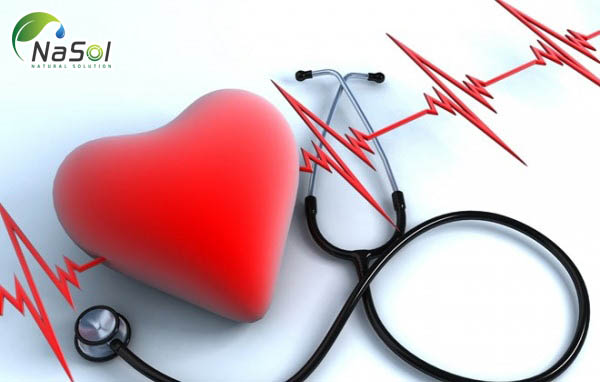 Pueraria mirifica tốt cho sức khỏe tim mạch