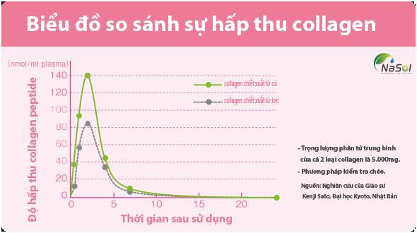 Collagen peptide từ cá tuyết 