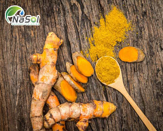 So sánh giữa Curcumin phytosomevới Curcumin tinh khiết - Nguyên liệu TPCN So sánh giữa Curcumin phytosomevới Curcumin tinh khiết - Nguyên liệu TPCN