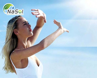 Tác dụng bảo vệ làn da của Silymarin phytosome - Nguyên liệu TPCN Tác dụng bảo vệ làn da của Silymarin phytosome - Nguyên liệu TPCN