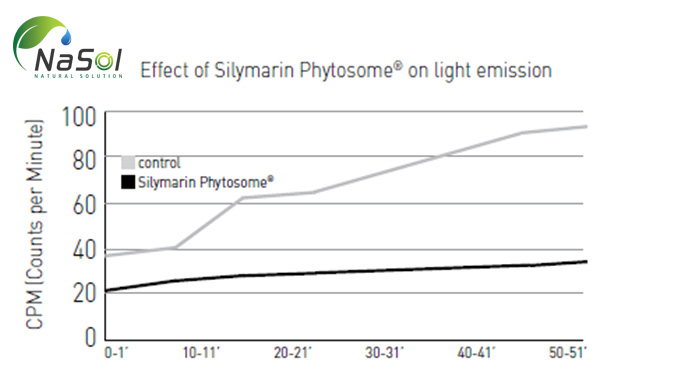 Tác dụng chống oxy hóa, chống gốc tự do