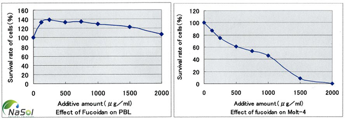 Hoạt tính chống ung thư của Fucoidan