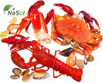 7 Tác dụng chữa bệnh của chitosan - Nguyên liệu Nasol 7 Tác dụng chữa bệnh của chitosan - Nguyên liệu Nasol