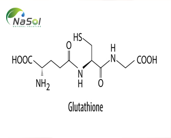 15 tác dụng có lợi cho sức khỏe của Glutathione - Nguyên liệu Nasol  15 tác dụng có lợi cho sức khỏe của Glutathione - Nguyên liệu Nasol