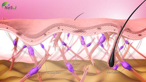 Tác dụng của Collagen với tóc, móng chân – tay