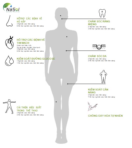 Các tác dụng của chiết xuất táo dại đối với sức khỏe con người có thể thống kê qua những công dụng chính sau