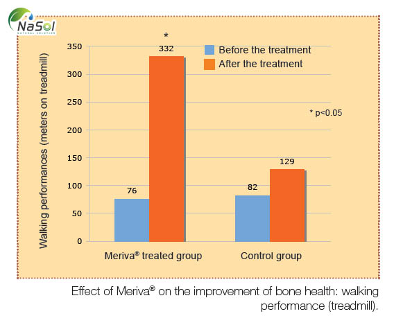 Tác dụng của Curcumin phytosome lên xương khớp