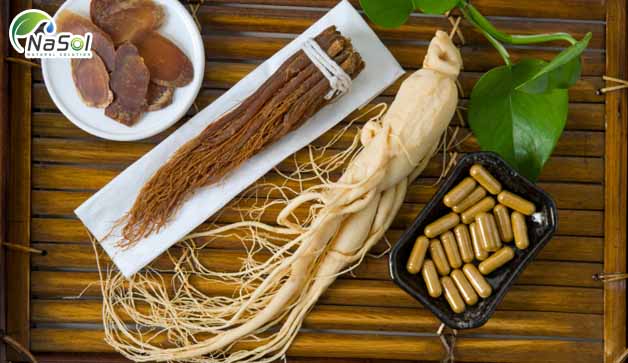 tác dụng của hồng sâm cho đàn ông
