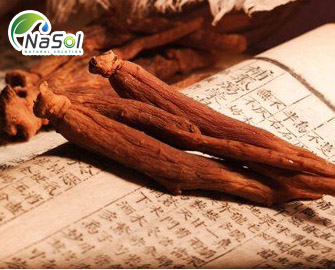 Tác dụng của Hồng sâm trong hỗ trợ bảo vệ sức khỏe và làm đẹp