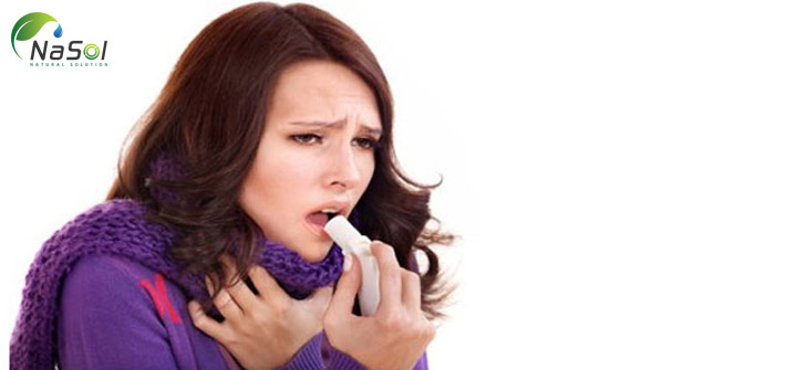 vẹm xanh chữa Bệnh hen suyễn