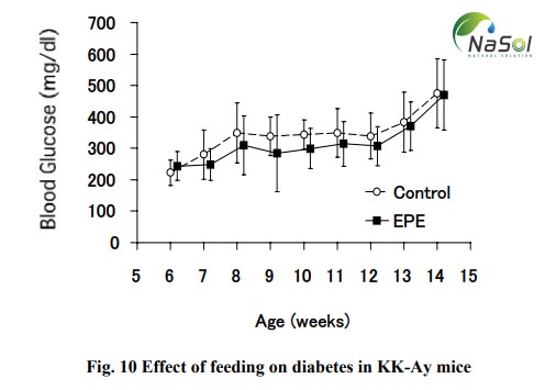 Chiết xuất hoa anh thảo (Evening primrose extract) có tác dụng làm chậm mức tăng đường huyết sau ăn