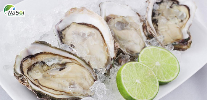 Tăng cường chức năng sinh lý của Hàu