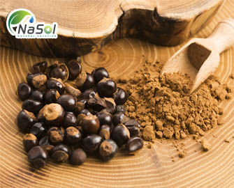 4 tác dụng với sức khỏe của hạt Guarana 4 tác dụng với sức khỏe của hạt Guarana