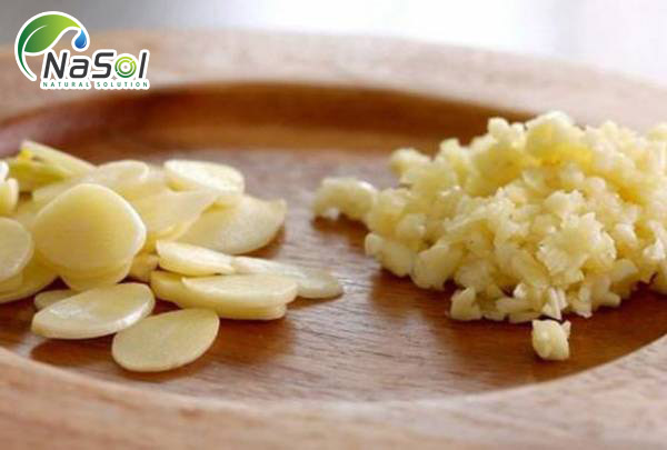 Tại sao khi đập tỏi mới có mùi?