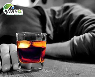 13 thảo dược giải rượu an toàn hiệu quả 13 thảo dược giải rượu an toàn hiệu quả