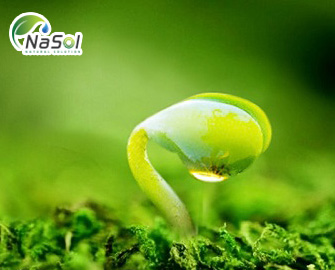 Lợi ích của Soy Isoflavone với thời kỳ mãn kinh  Lợi ích của Soy Isoflavone với thời kỳ mãn kinh