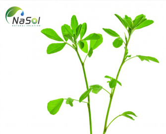 Thực phẩm bổ sung kiểm soát đường máu sau ăn (Phần 1)  Thực phẩm bổ sung kiểm soát đường máu sau ăn (Phần 1)