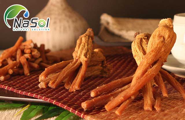 Những tương tác và những lưu ý trước khi sử dụng Hồng sâm