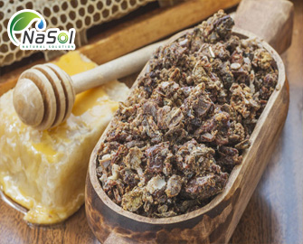 Ứng dụng của keo ong y học và đời sống con người  Ứng dụng của keo ong y học và đời sống con người