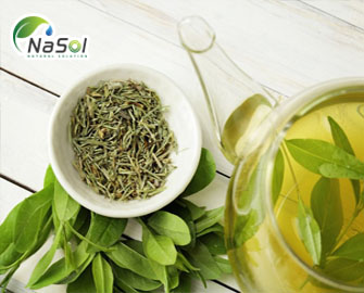 10 công dụng của trà xanh với sức khỏe con người 10 công dụng của trà xanh với sức khỏe con người