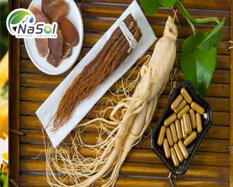 Ứng dụng Nguyên liệu Hồng sâm trong các sản phẩm cho Nam giới Ứng dụng Nguyên liệu Hồng sâm trong các sản phẩm cho Nam giới