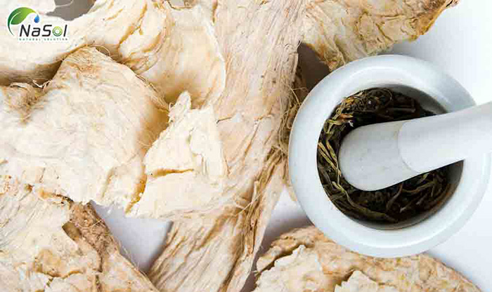 Sắn dây củ tròn thái lan