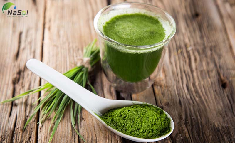 thể thêm bột tảo xoắn vào sinh tố