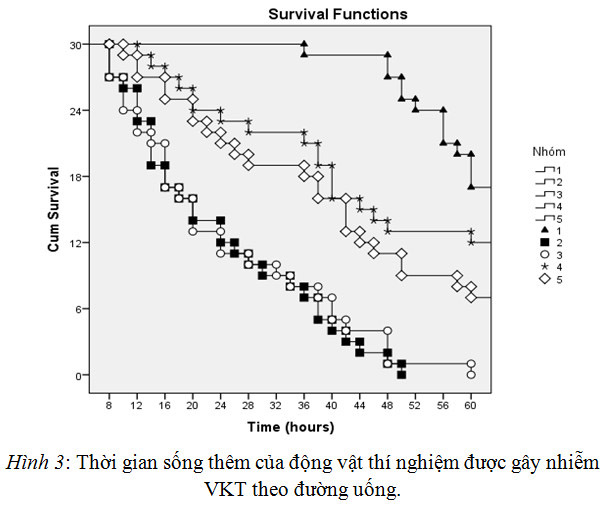 thời gian sống thêm của động vật thí nghiệm được lây nhiêm vkt theo đường uống