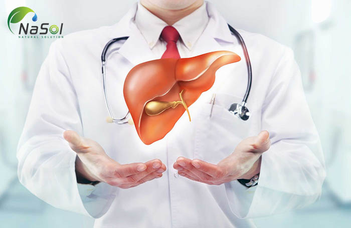 Tinh dầu nghệ giúp cải thiện sức khỏe gan