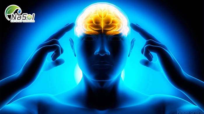 Tinh dầu nghệ giúp ngăn ngừa các bệnh thần kinh.