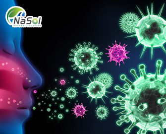 5 Tổn thương chính do SARS-CoV-2 gây ra 5 Tổn thương chính do SARS-CoV-2 gây ra