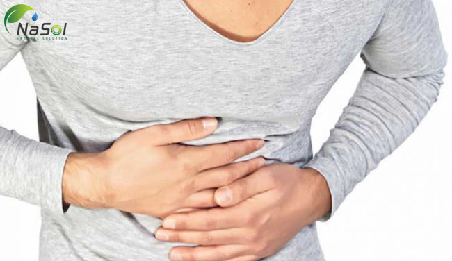 triphala có tác dụng nhuận tràng