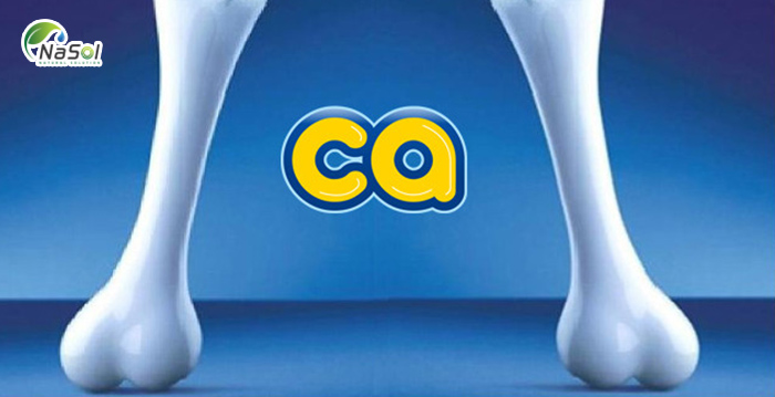 hạn chế mất canxi xương